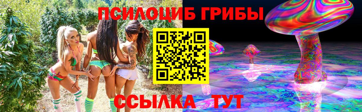 Галлюциногенные грибы прущие грибы Железногорск